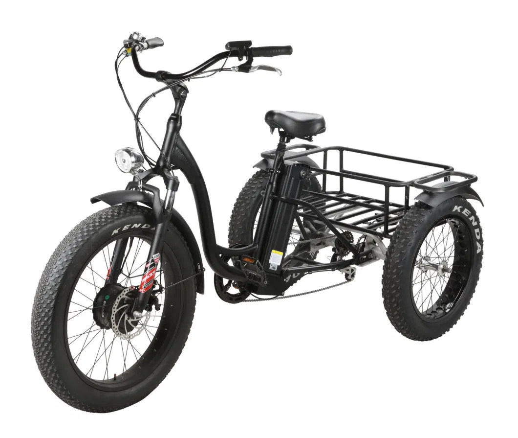 48V 500W/750W Fat Tire 3 Wheel Cargo Electric Tricycle