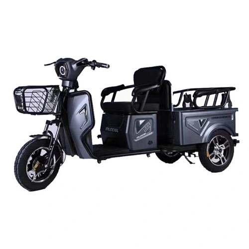 48V 500W Passenger Electric Tricycle