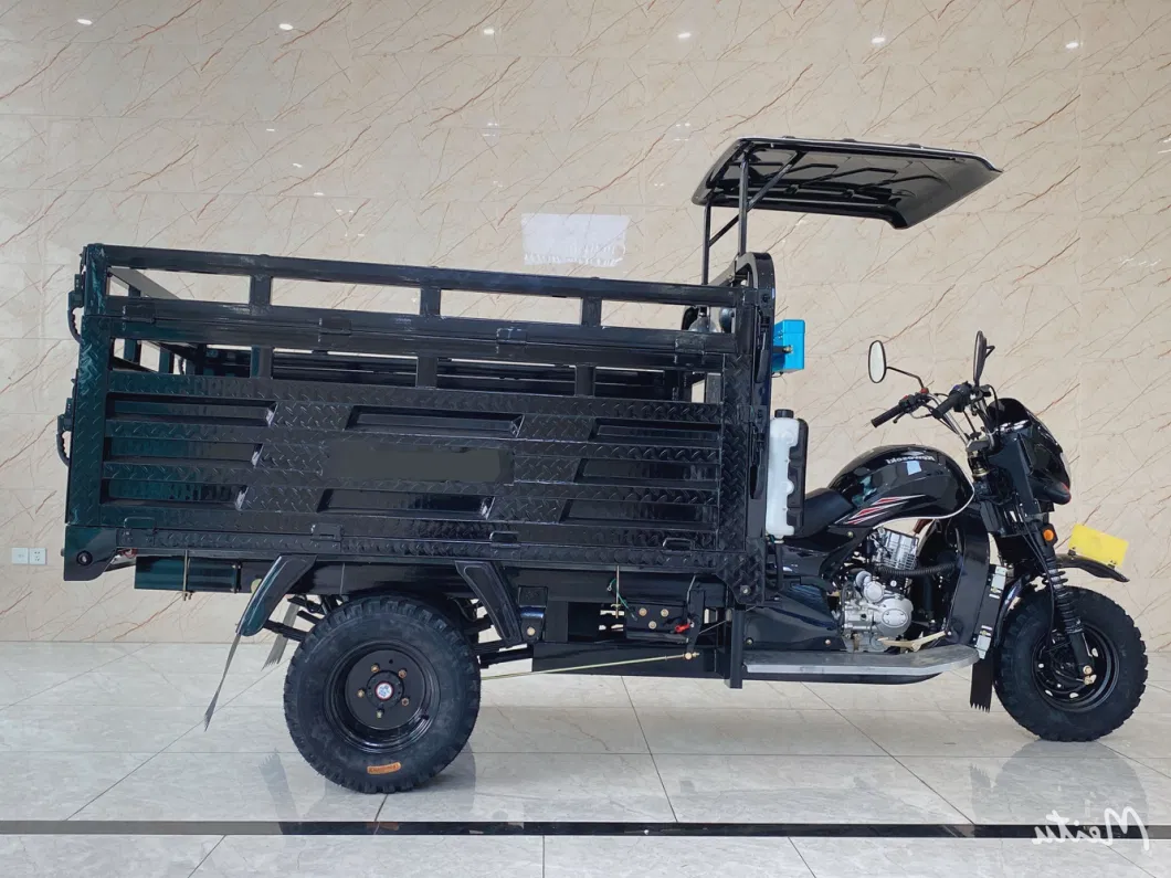 Chinese Manufacturers Sell Dump Freight Three Wheels Motorcycle Fuel Oil Gasoline Motorized Tricycle for Cargo