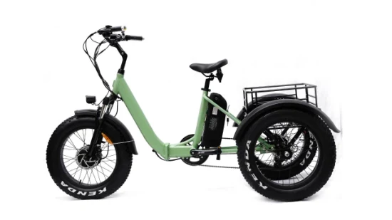 Professionelles Fabrik-500-W-Motor-3-Rad-Elektro-Fracht-Ebike-Elektro-Dreirad