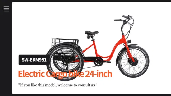 Kombi-Verkaufsautomat 48V Family Cargo Bike Import Elektro-Dreirad aus China