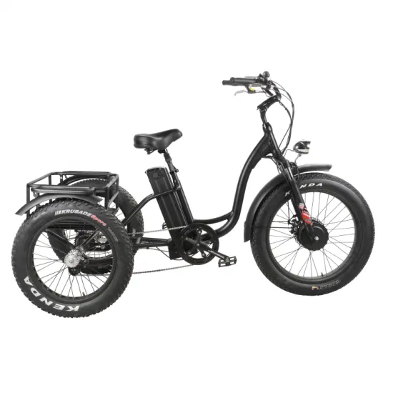 Dreirädriges Elektro-Lastenfahrrad 48V500W Vorderradnabenmotor Elektro-Dreirad 20 Zoll 4,0 Fat Tire Dreirad mit Korb