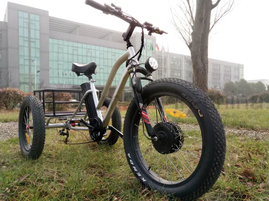 Dreirad-Fat-Reifen-Elektro-Dreirad-Ladung für Beach Cruiser